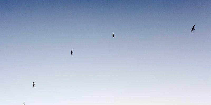 精密防线:北京凯利达设备钢结构防腐工艺解析与沿海高腐蚀环境实战案例